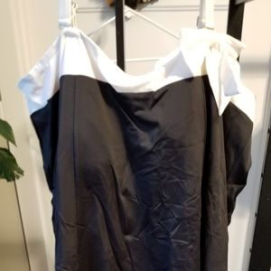 Plus size swim dress